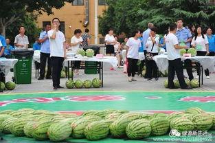 吃瓜大赛活动方案,吃瓜大赛狂欢活动精彩回顾